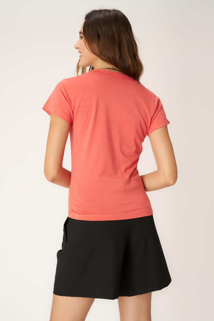 Core Essentials - Project Social T